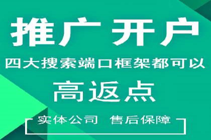 百度推广成功案例分析