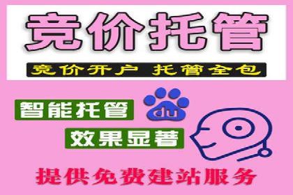 关键词竞价排名案例解析与启示